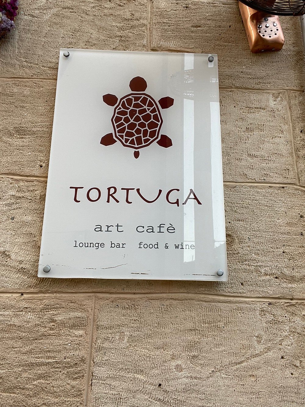 tortuga apartments aegina island greece