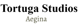 tortuga apartments aegina island greece