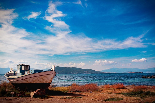 tortuga apartments aegina island greece